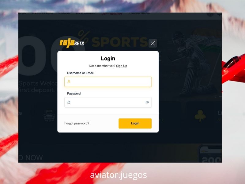 Información sobre el casino Rajabets