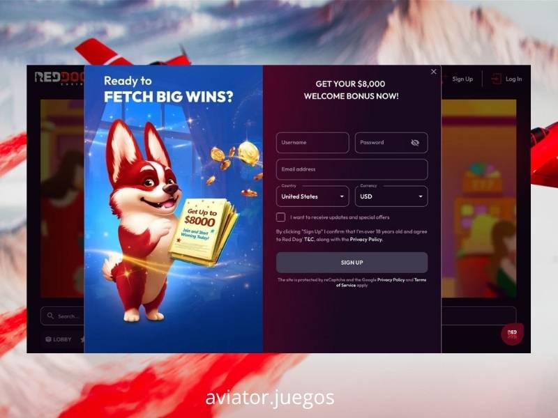Información sobre el casino Red Dog